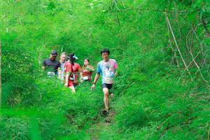 BIB: 
                            <button type="button" onclick="openModal(22092880)" class="btn btn-primary btn-sm float-right btn-popup" data-toggle="modal" data-target=".modal-high-quality">
                        <i class="fas fa-shopping-cart"></i> Add to Cart
                    </button>
                                            <button type="button" onclick="isThisMe(22092880, true)" class="btn btn-success btn-sm float-right btn-popup btn-isme hidden" data-toggle="tooltip" data-placement="bottom" title="นี่คือรูปของคุณใช่ไหม คลิกที่นี่เพื่อเอาเข้าอัลบั้ม">
                        <i class="fas fa-plus"></i> Add to album
                    </button>
                    <button type="button" onclick="isThisMe(22092880, false)" class="btn btn-warning btn-sm float-right btn-popup btn-isnotme hidden">
                        <i class="fas fa-ban"></i> Remove from album
                    </button>